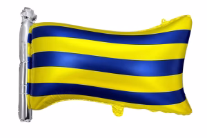 Toptan Sarı Lacivert Bayrak Folyo Balon